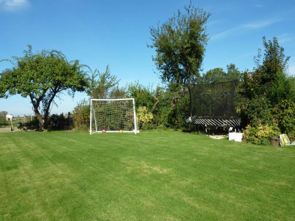 Back Garden