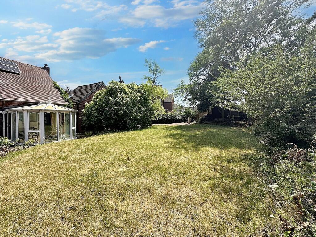 Back Garden