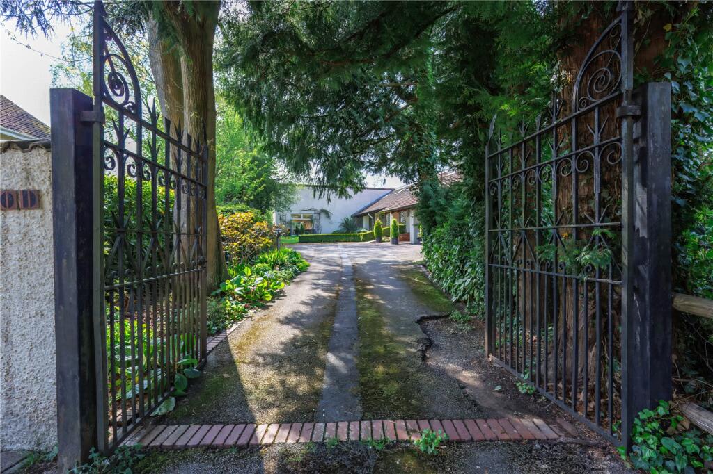 Driveway