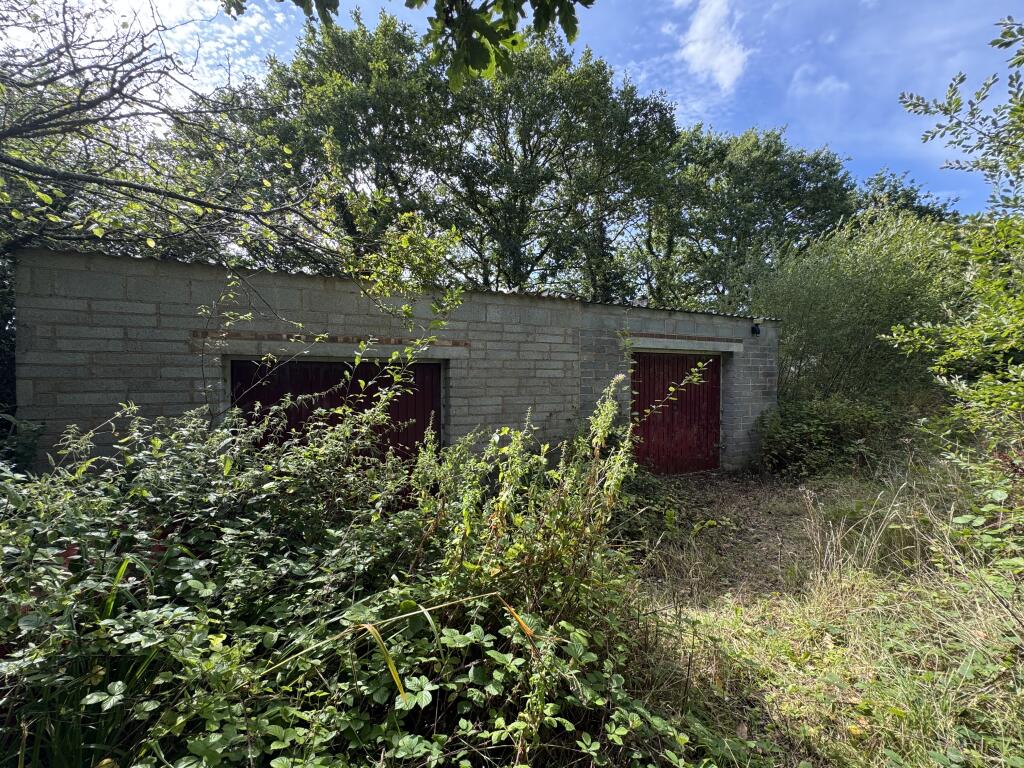 IMG 1862 T202509101641.jpeg