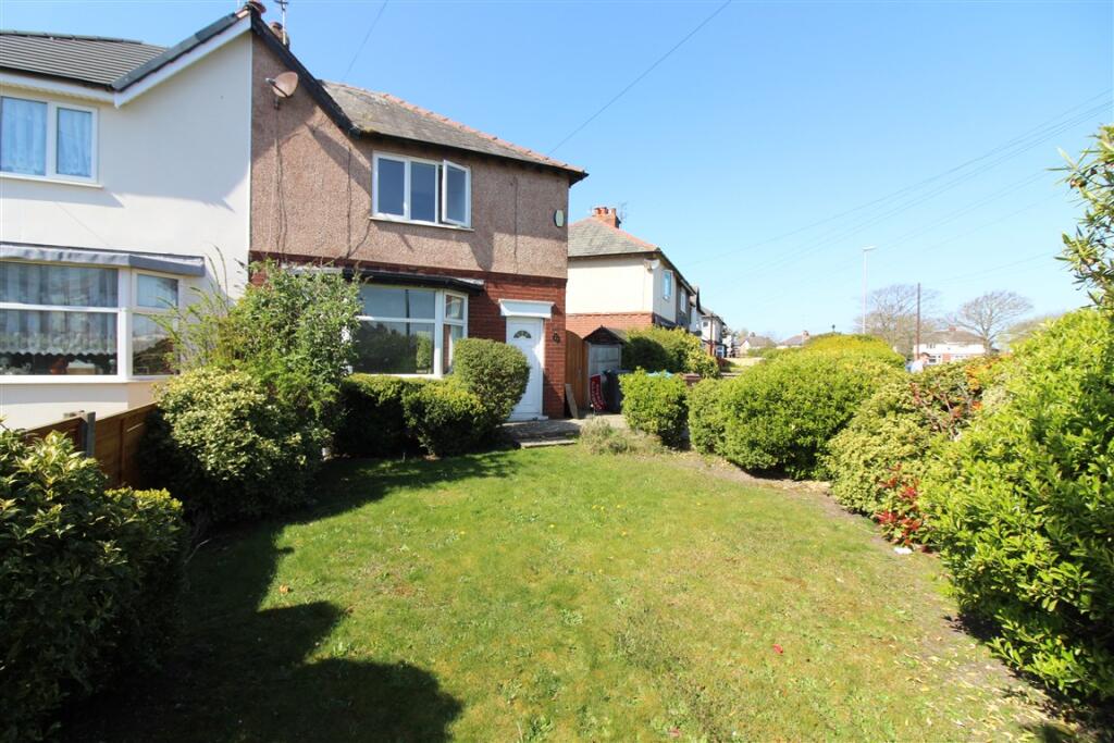 IMG 4918  Medium  T202504101031.jpg