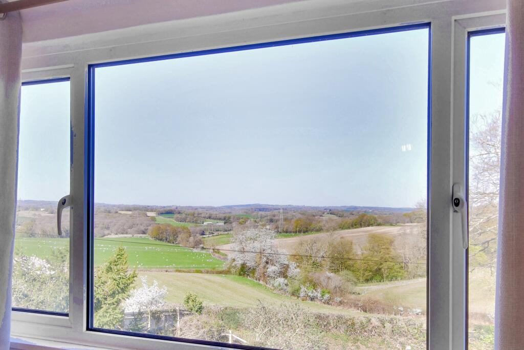 Brambles_057 landscape