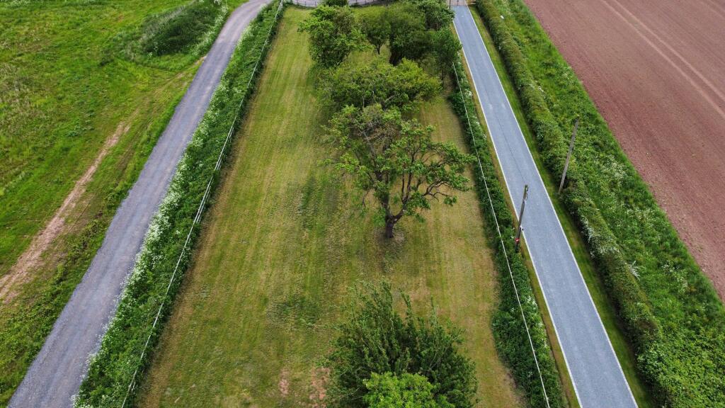 The Orchard