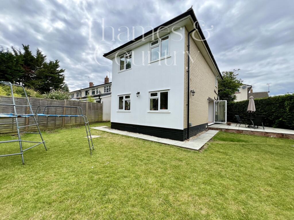 Back Garden
