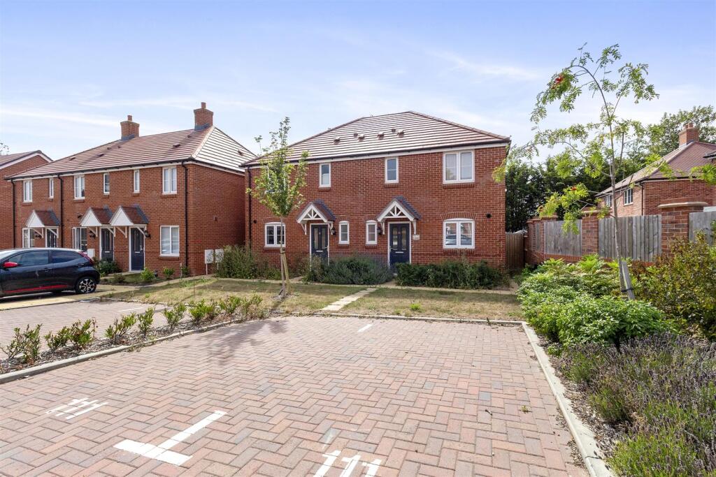 Windflower Chase 21-001.JPG