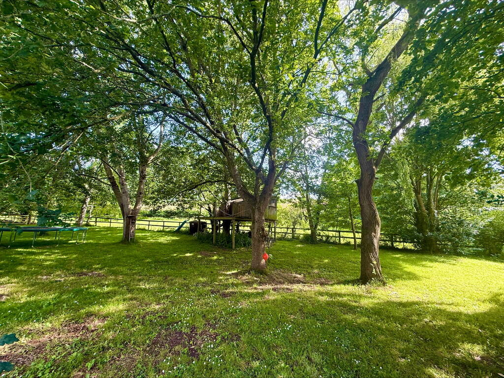 Recreational fiel...