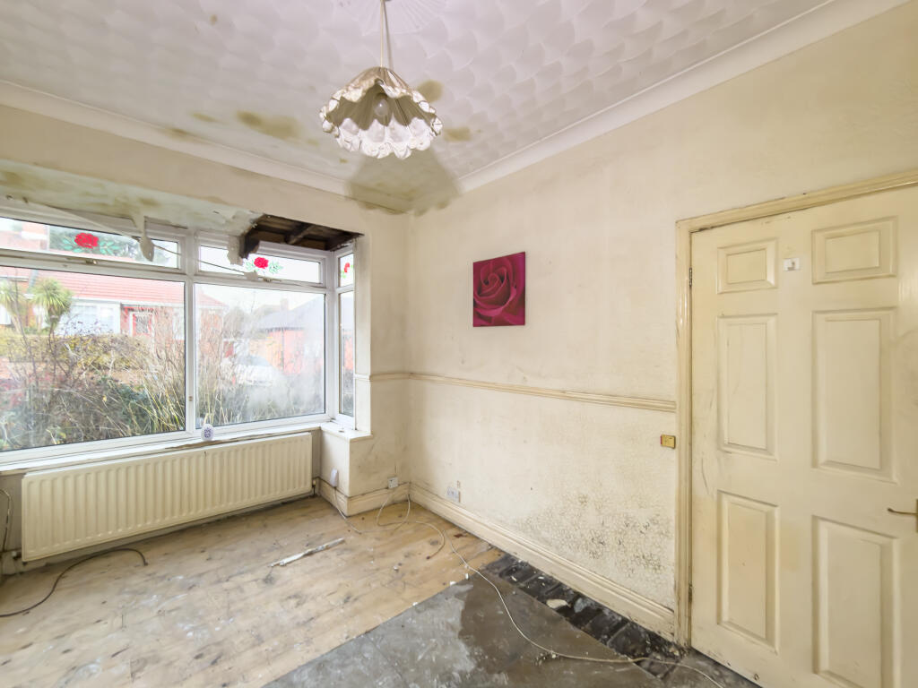 IMG 9296 T202512121004.jpg