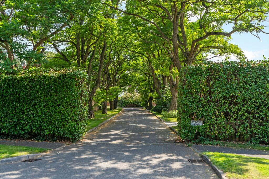 Driveway