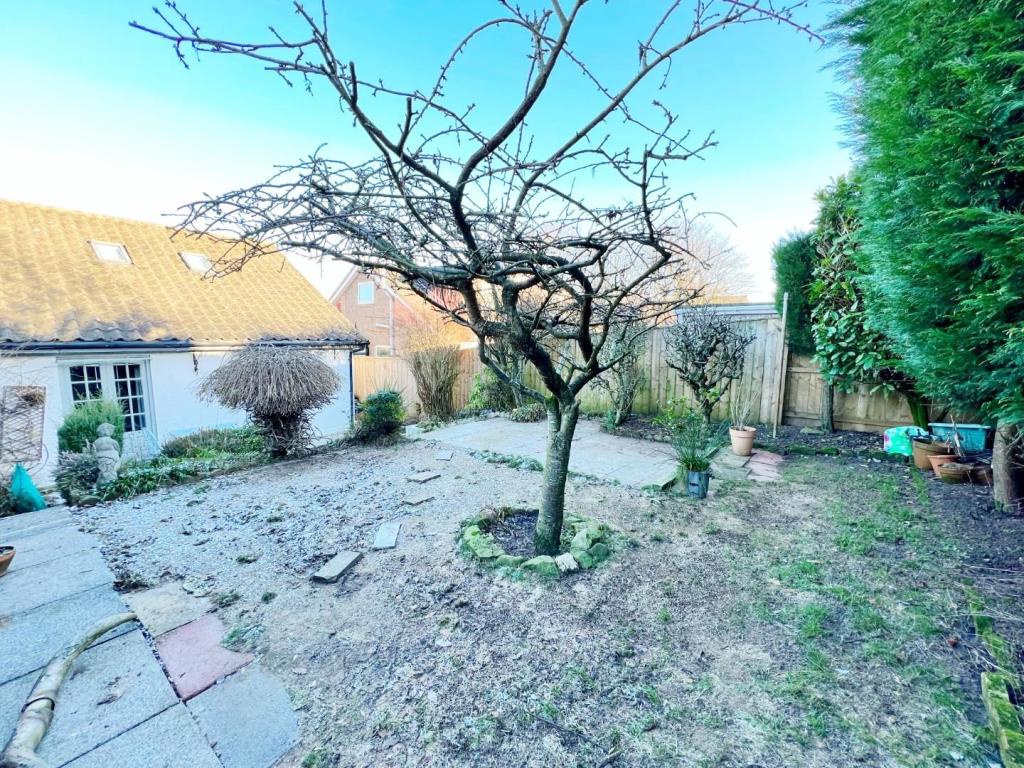 Garden pic 6.jpg