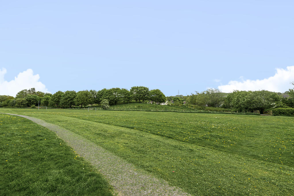 Playing field at ...