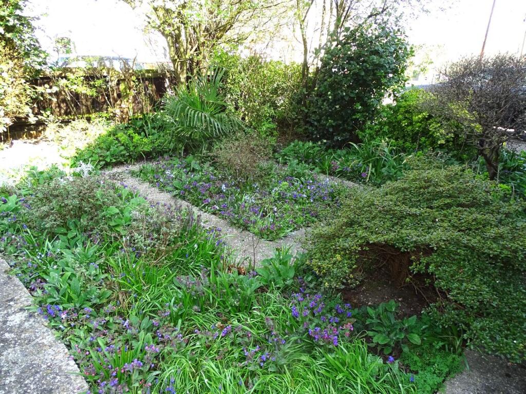 FRONT GARDEN