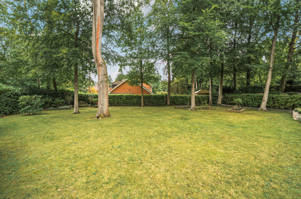 1353926-4-68cc349...