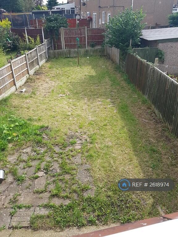 Back Garden