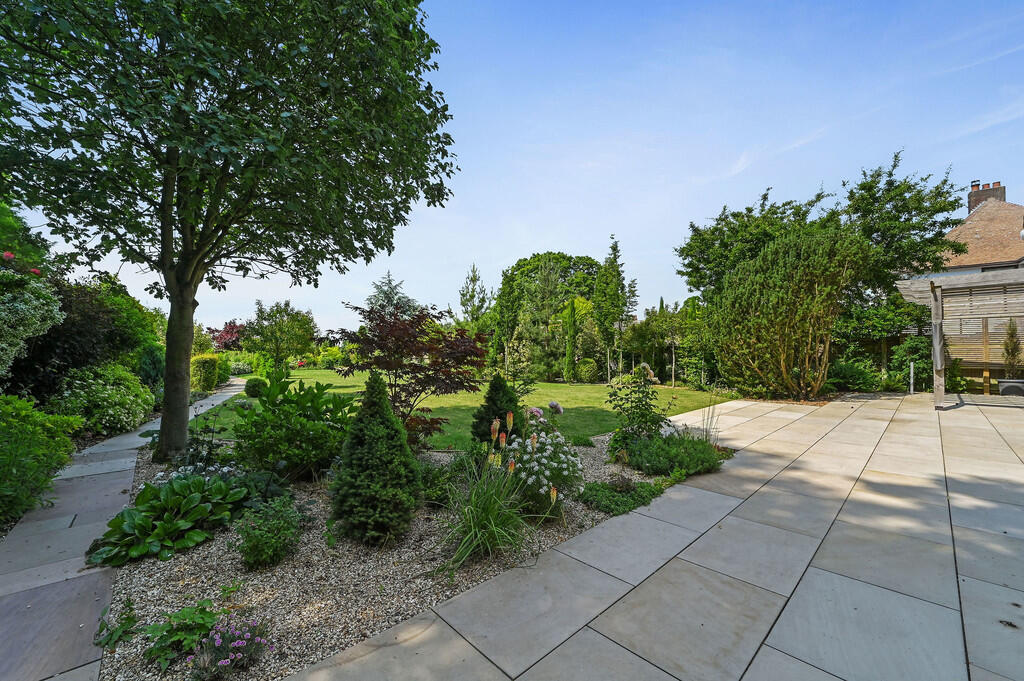 PT-DB(WP)-Brindle...