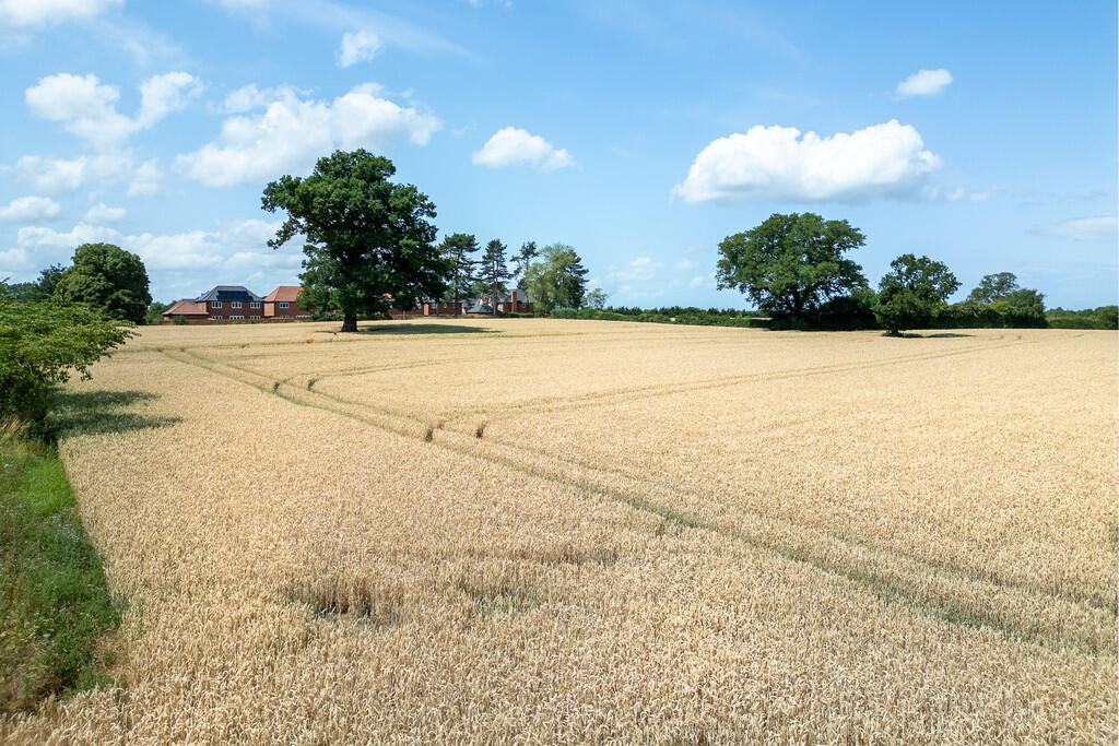 Adjoining Field
