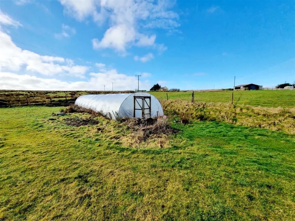 Polytunnel