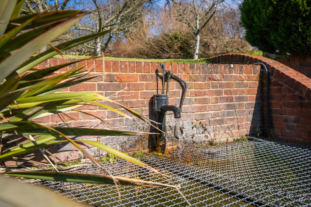 Pond Detail