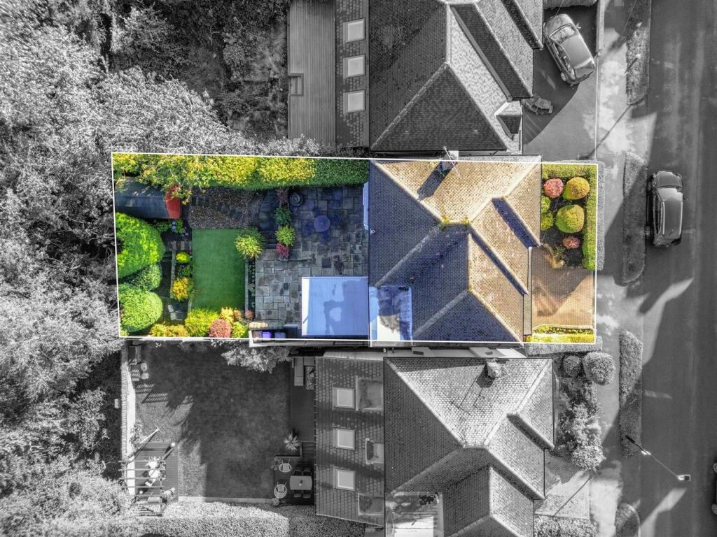 DJI_0919-Edit.jpg
