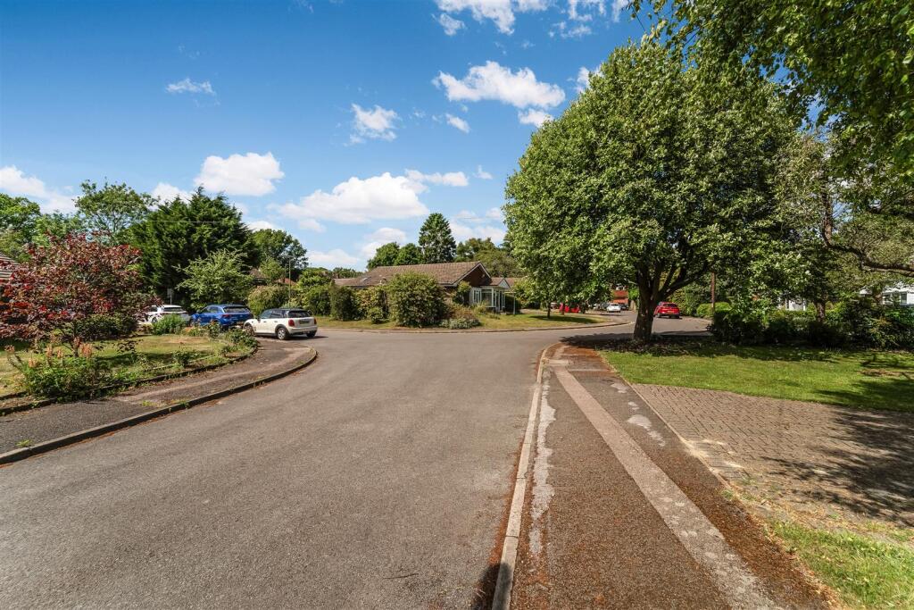 THE BRINDLES, 12 (EXTRAS)-4.jpg