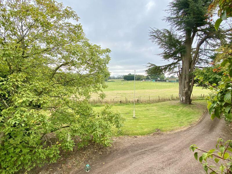 View from Master Bedroom