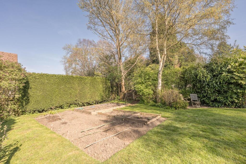 Rear Garden 5