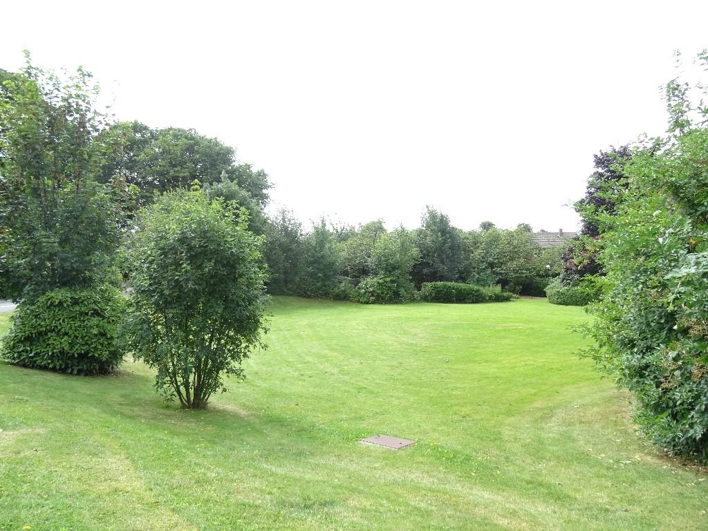 Communal Gardens