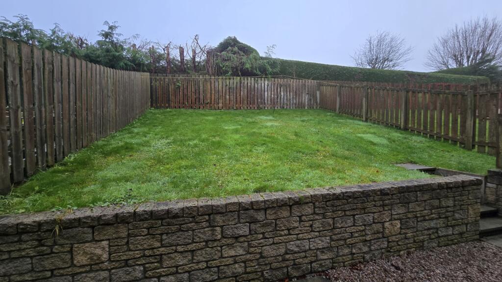 IMAGE 16