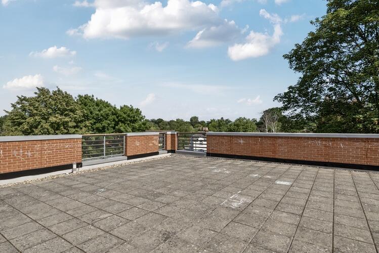 1295976 27 682c51191633c ARW