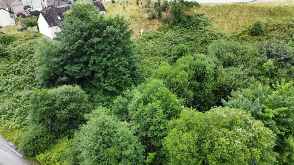 dji_fly_20230713_113608_145_1689244644000_photo_op