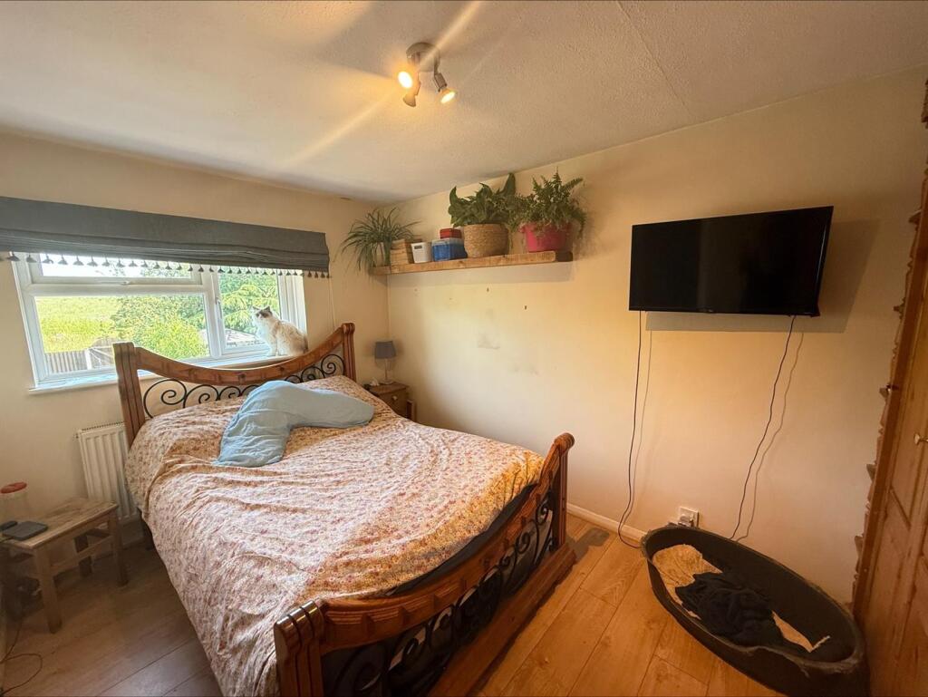 processed-03D25A99-9226-4DDD-9D9A-7CA46165BFF2.jpe