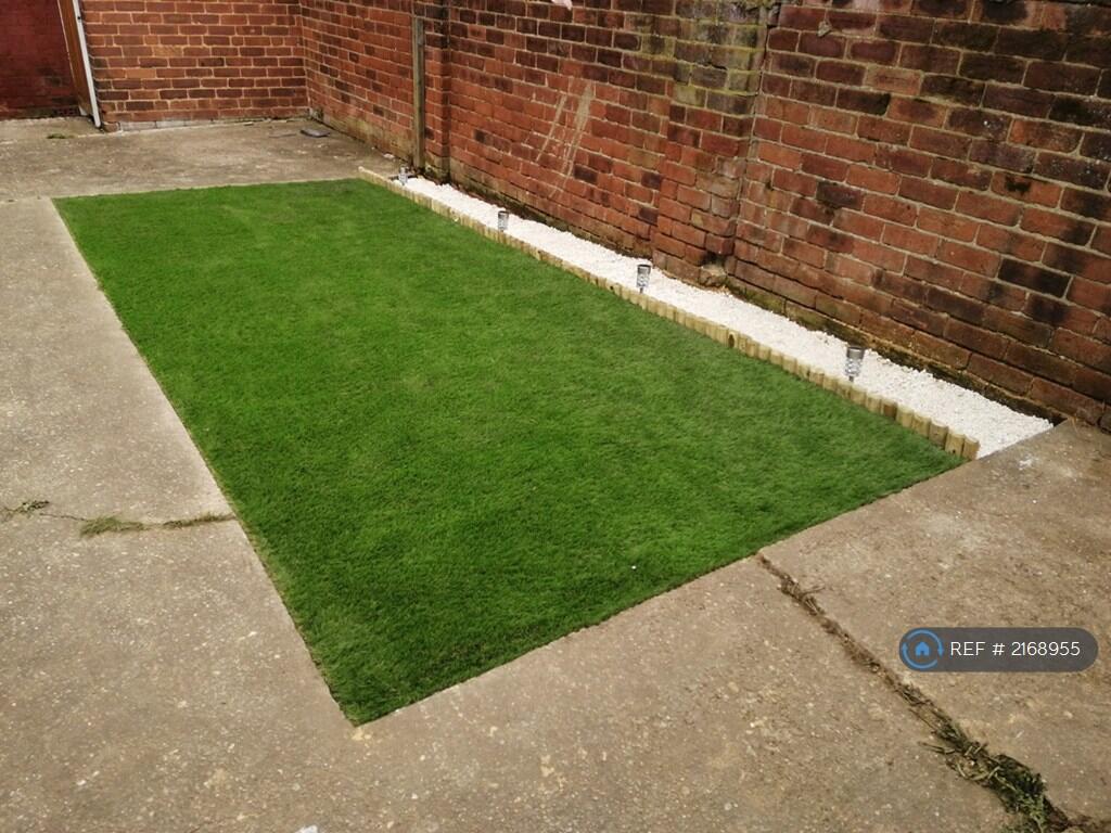 Patio &amp; Lawn