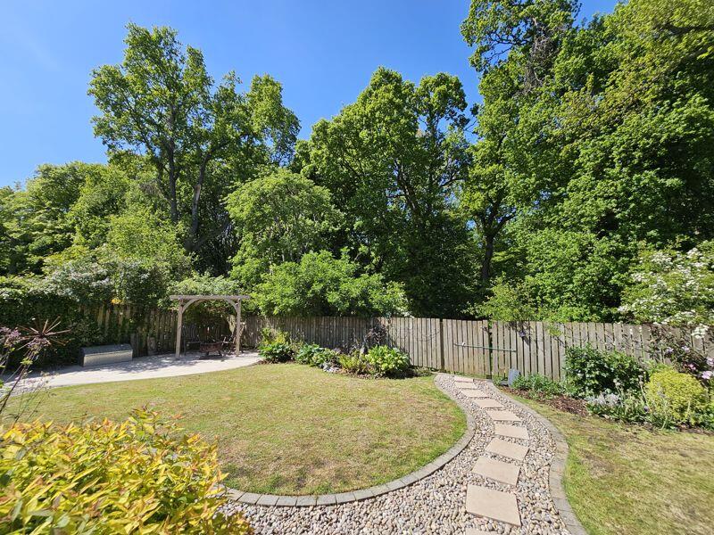 Back Garden