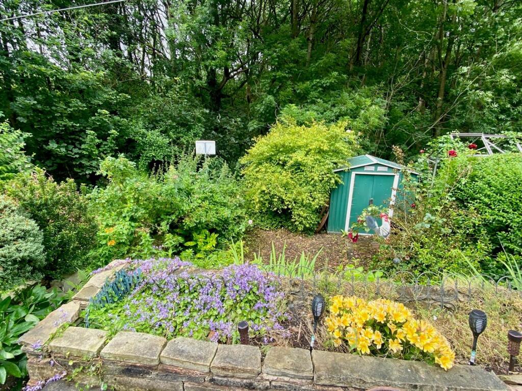 rear garden 1.jpg