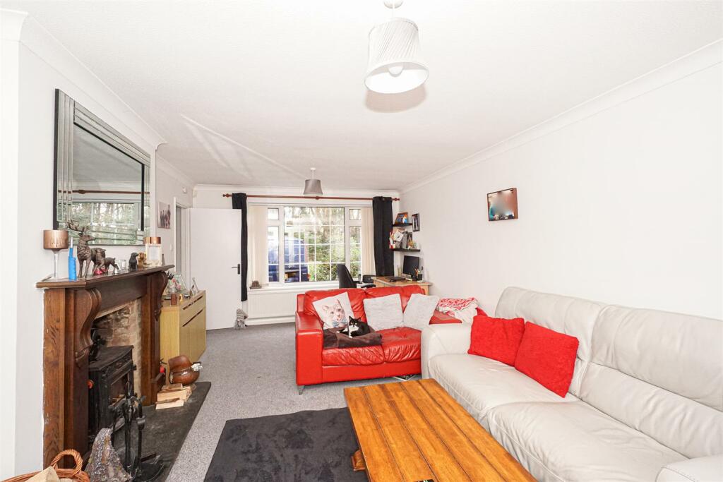 Old Roar Road (18)_Alto.jpg