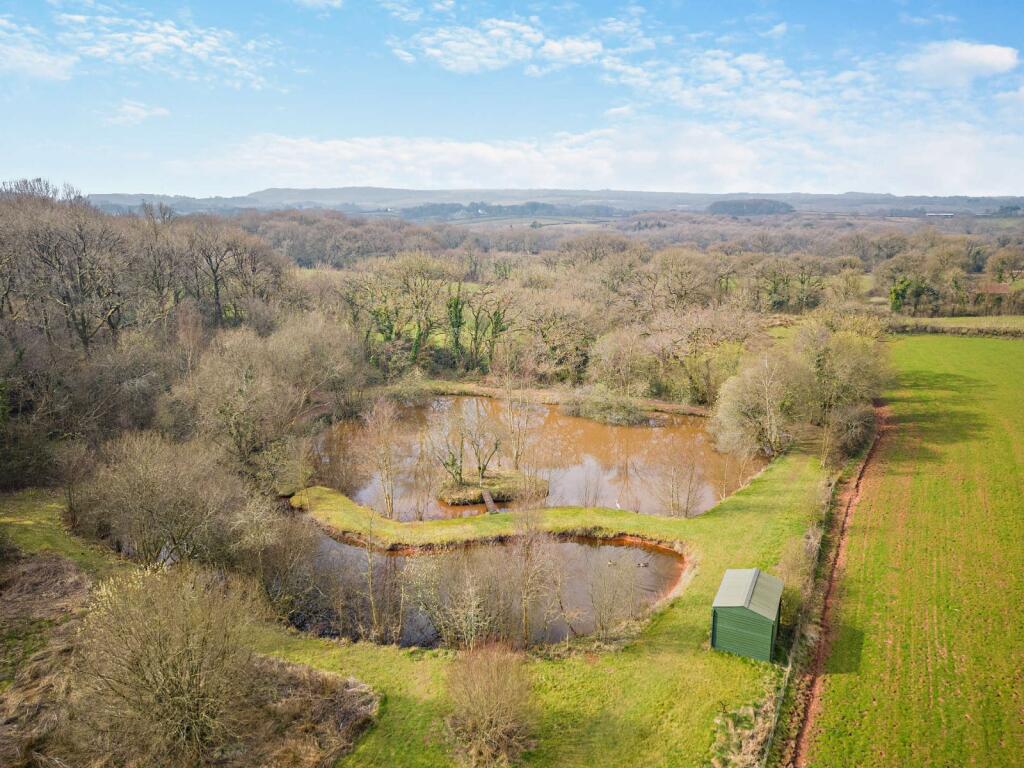 Pond