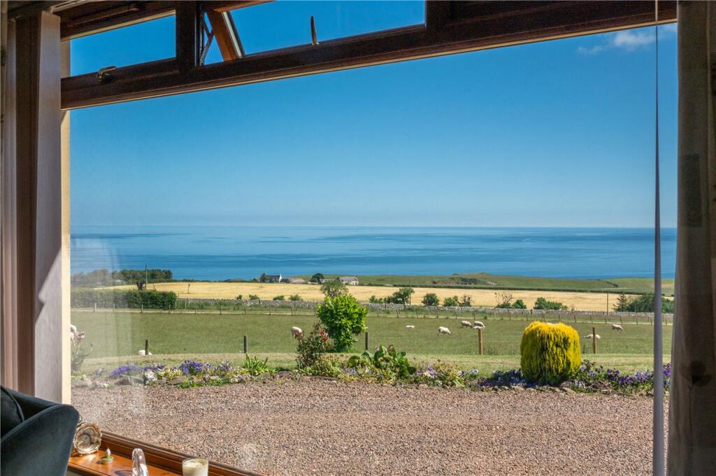 View From Window