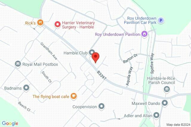 Google Maps Image