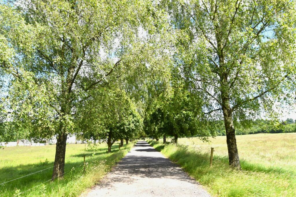 Washfield Seddons