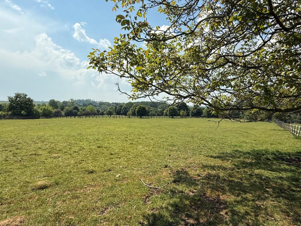 meadow view paddock 2