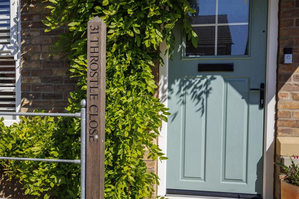 31_Throstle_Close_31.jpg