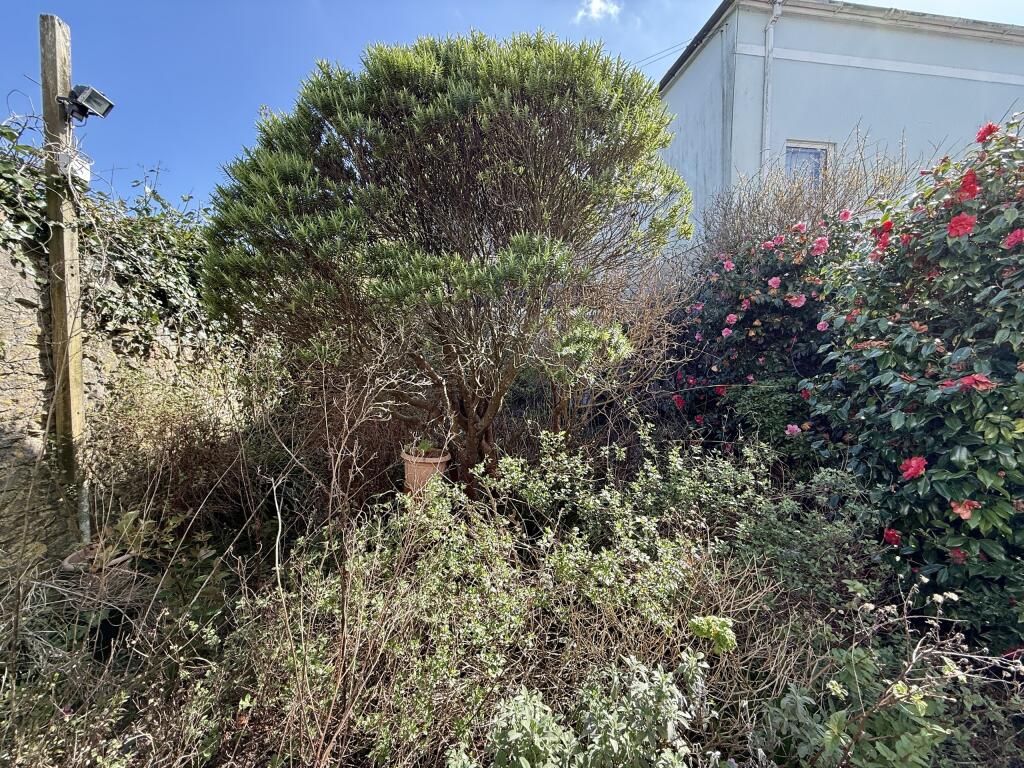IMG_1642.JPEG