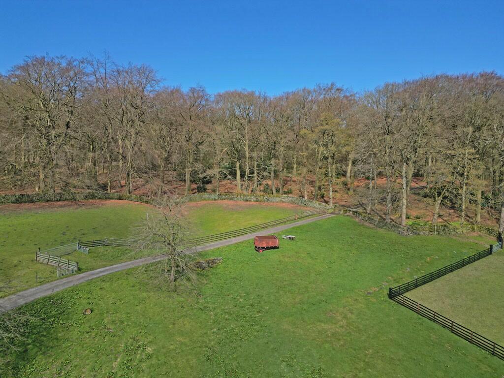 Woodland