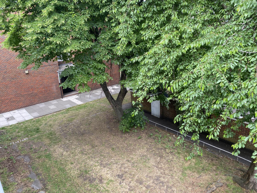 Communal Garden 