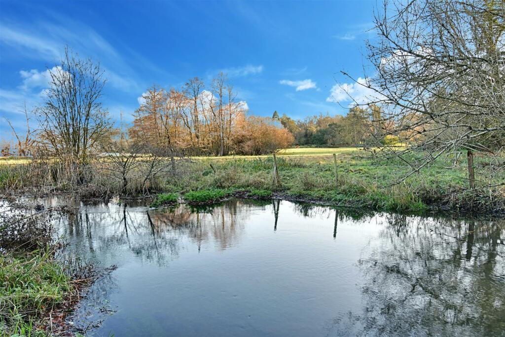 River.jpg
