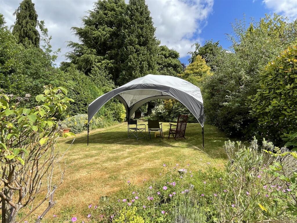 garden2.JPG