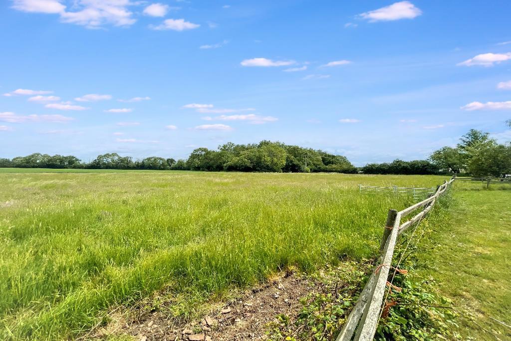 Paddock in front (Portal Size).jpg