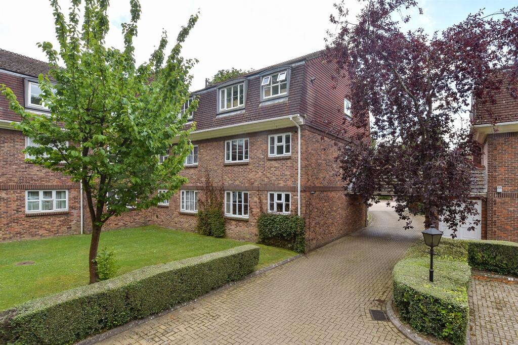 Rear Elevation