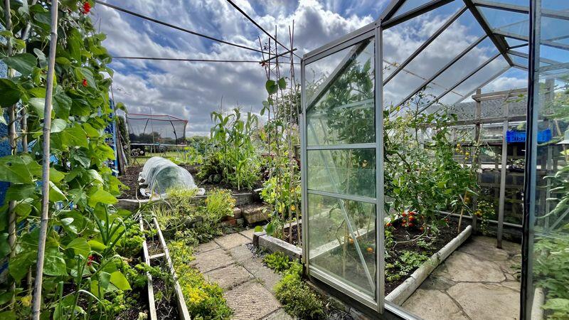 Vegetable Garden
