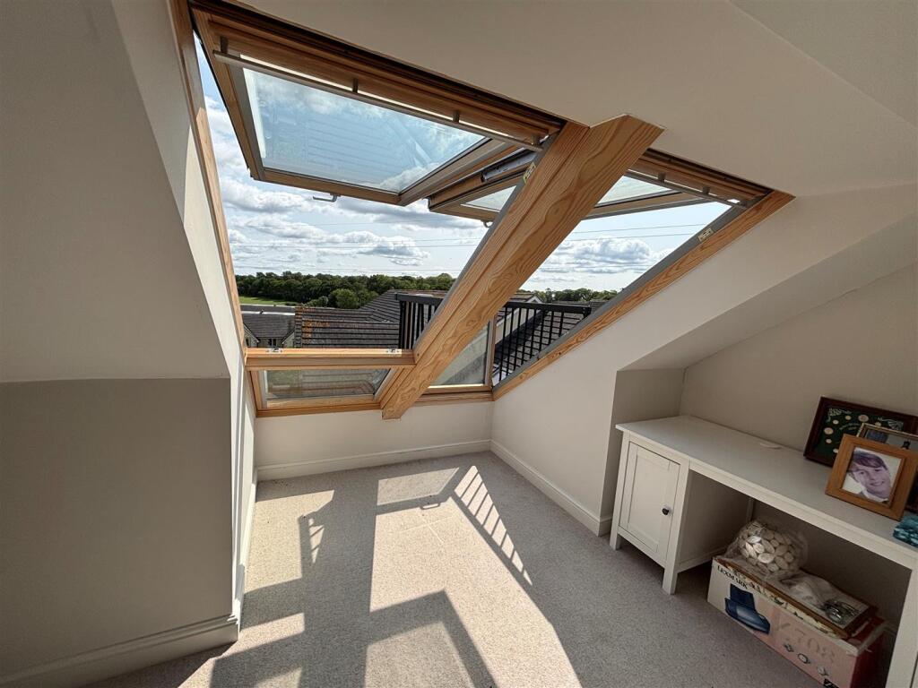 Window 3.jpg