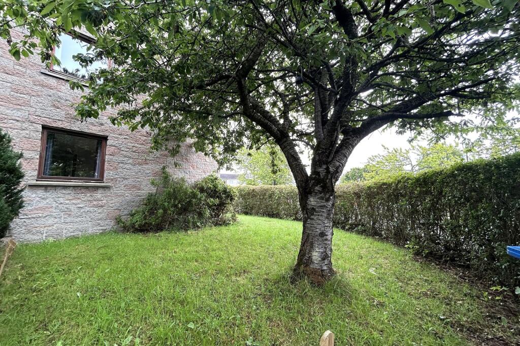 Side/rear Of Property